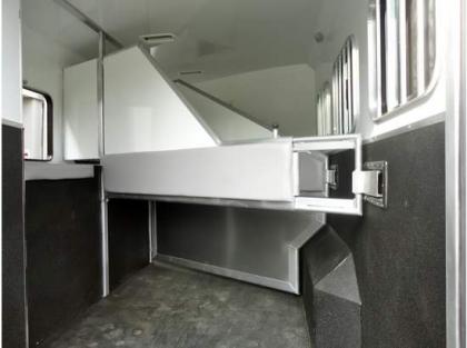 2012 BISON STRATUS 7